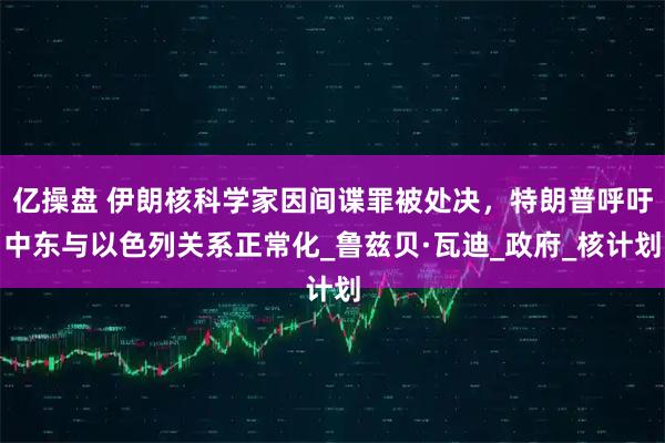 亿操盘 伊朗核科学家因间谍罪被处决，特朗普呼吁中东与以色列关系正常化_鲁兹贝·瓦迪_政府_核计划
