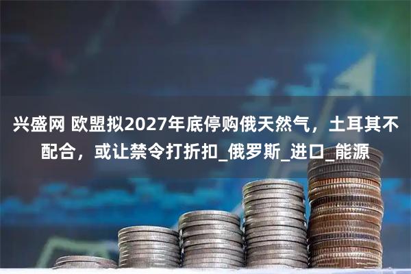 兴盛网 欧盟拟2027年底停购俄天然气，土耳其不配合，或让禁令打折扣_俄罗斯_进口_能源